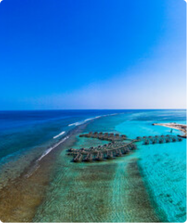 sorry image not available